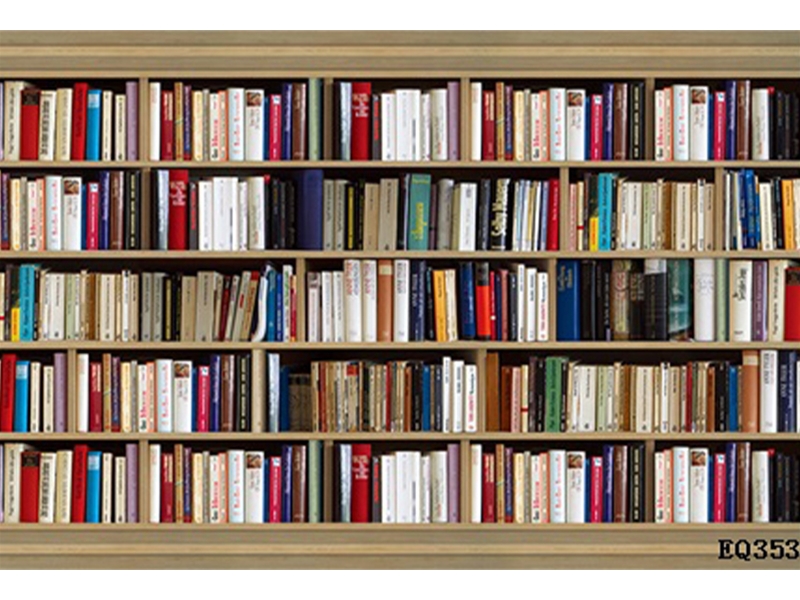 现代简约另类-书架