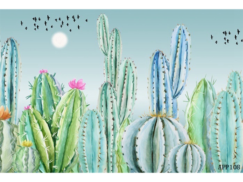 现代简约另类-植物