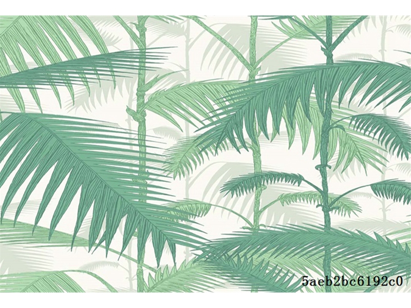 现代简约另类-雨林芭蕉叶西洋画