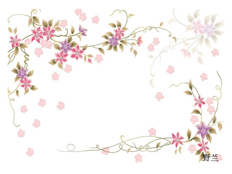 现代简约另类-简约-蒲公英