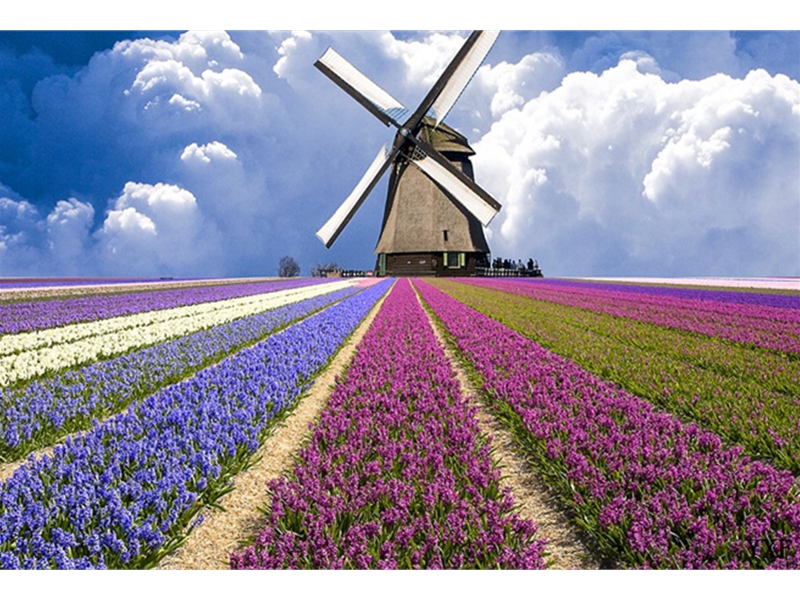 现代简约另类-风景粉色-紫色庄园