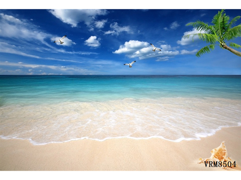 现代简约另类-风景-海景