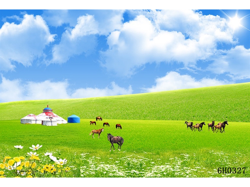 现代简约另类-风景-草原