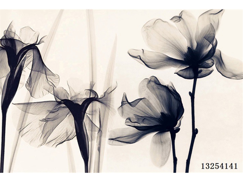 现代简约另类-花卉