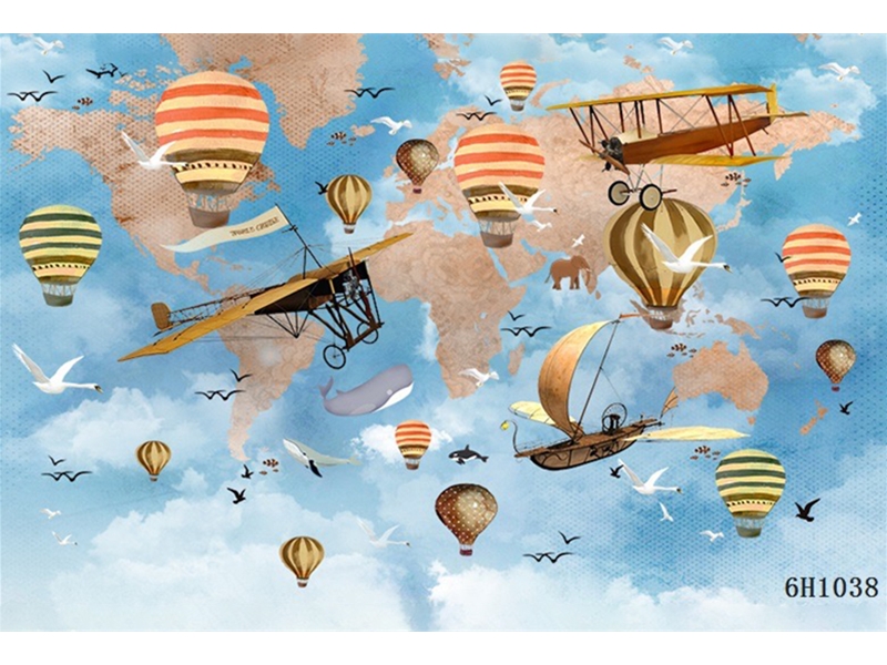 儿童房-地图飞机