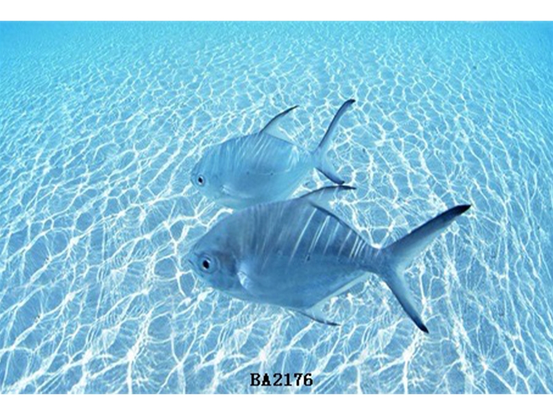 吊顶-海底世界吊顶