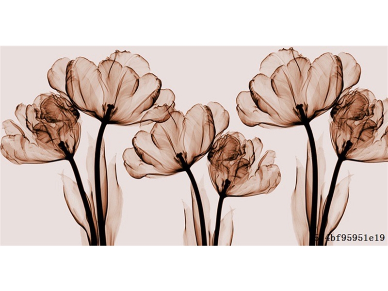 花鸟银杏-手绘花卉-透明花