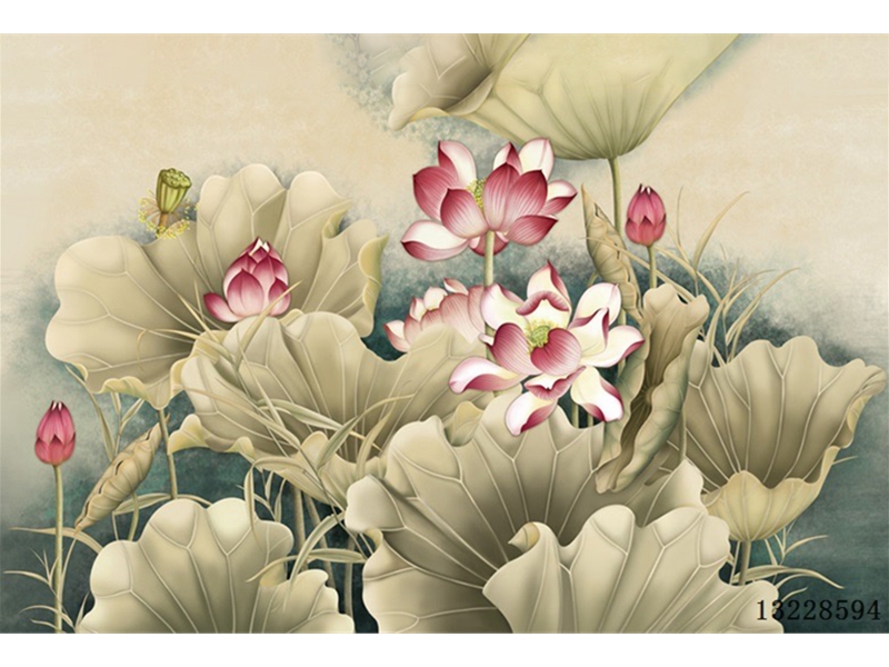 花鸟银杏-手绘花卉-荷花