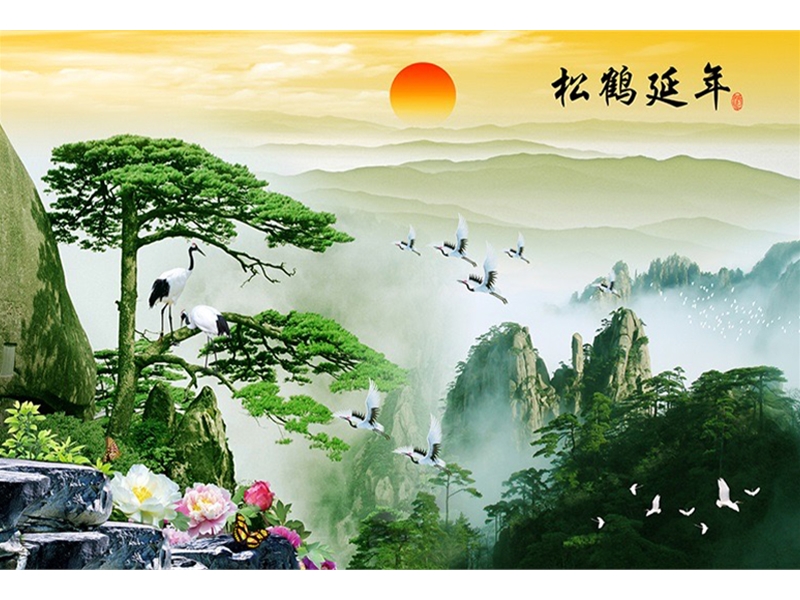 中式系列-松树-迎客松